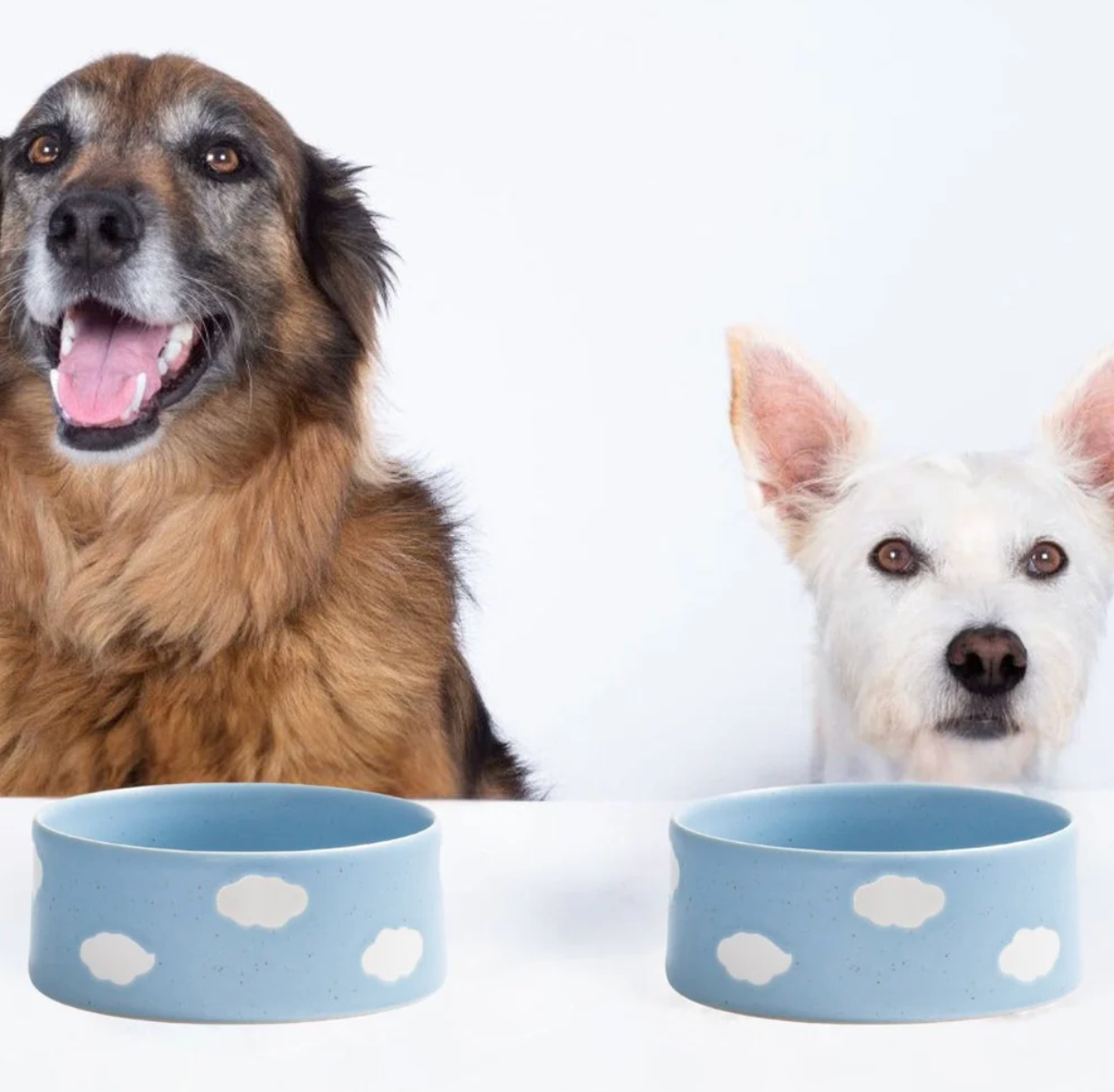 Egg Back Home - Cloud Pet Bowl