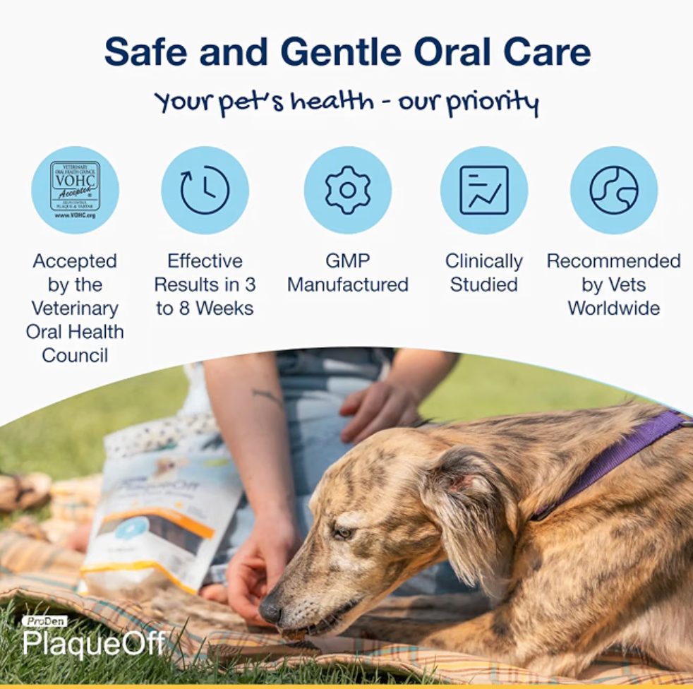 ProDen PlaqueOff - Dental Care Bones - Turkey & Cranberry Flavour