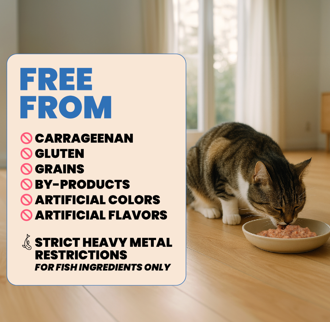 Almo Nature Complete HQS Cat - Chicken with Green Beans