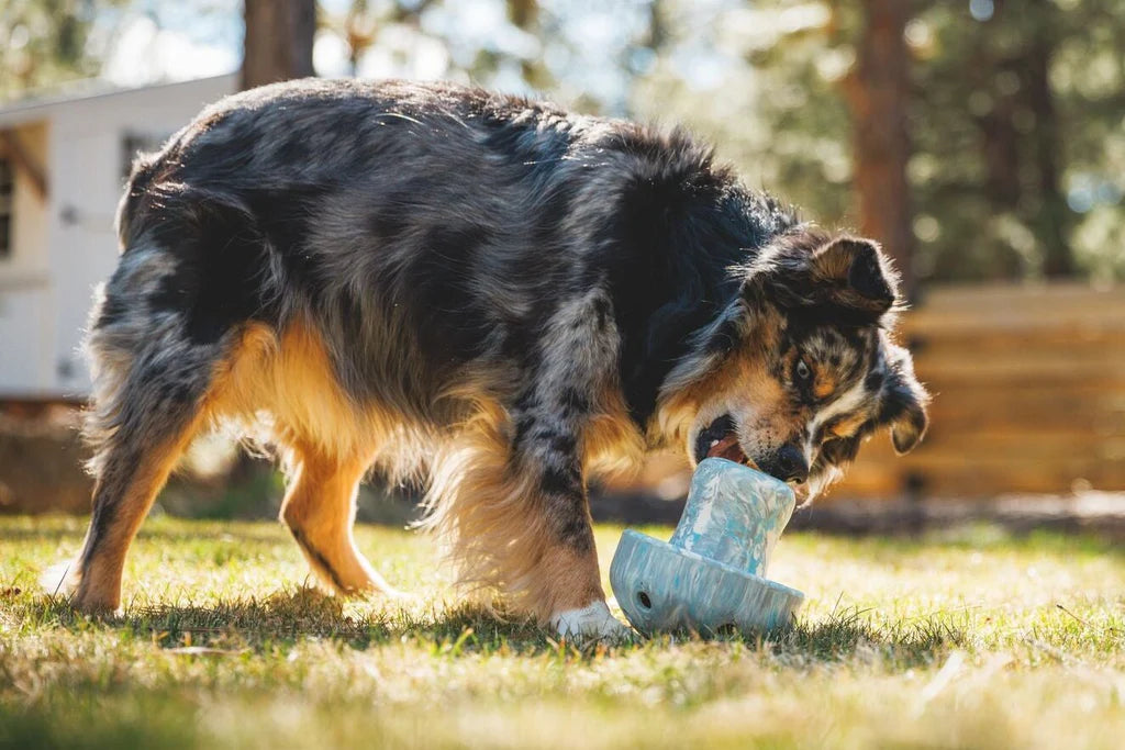 Porcini™ Dog Toy