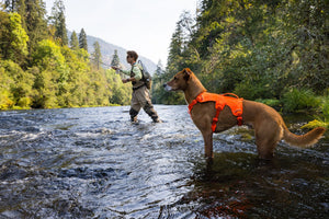 Web Master - Basalt Grey