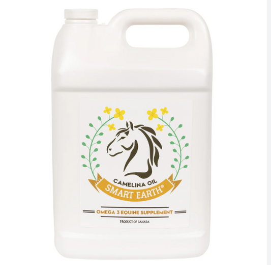 Camelina Oil - Equine - 3.78L