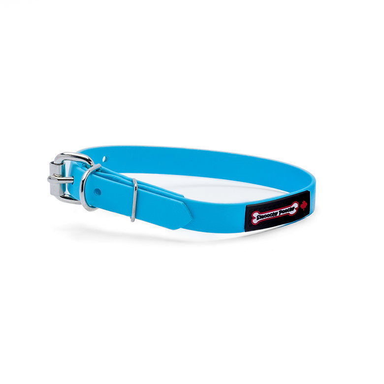 Polyvinyl Collar - Turquoise