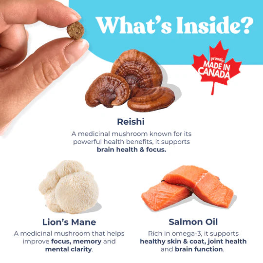 Mini Training Treats - Salmon