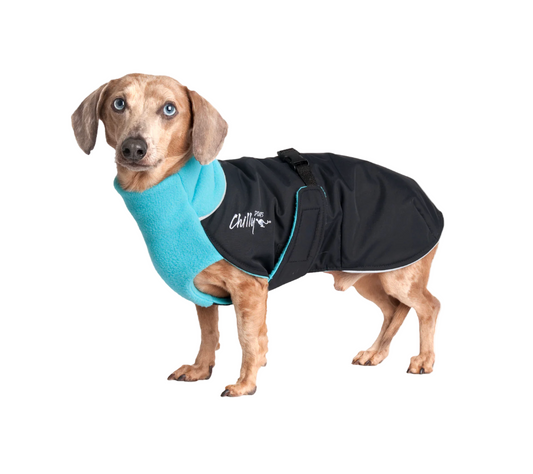 Chilly Dogs - Great White North Winter Jacket - Artic Blue/Black Shell