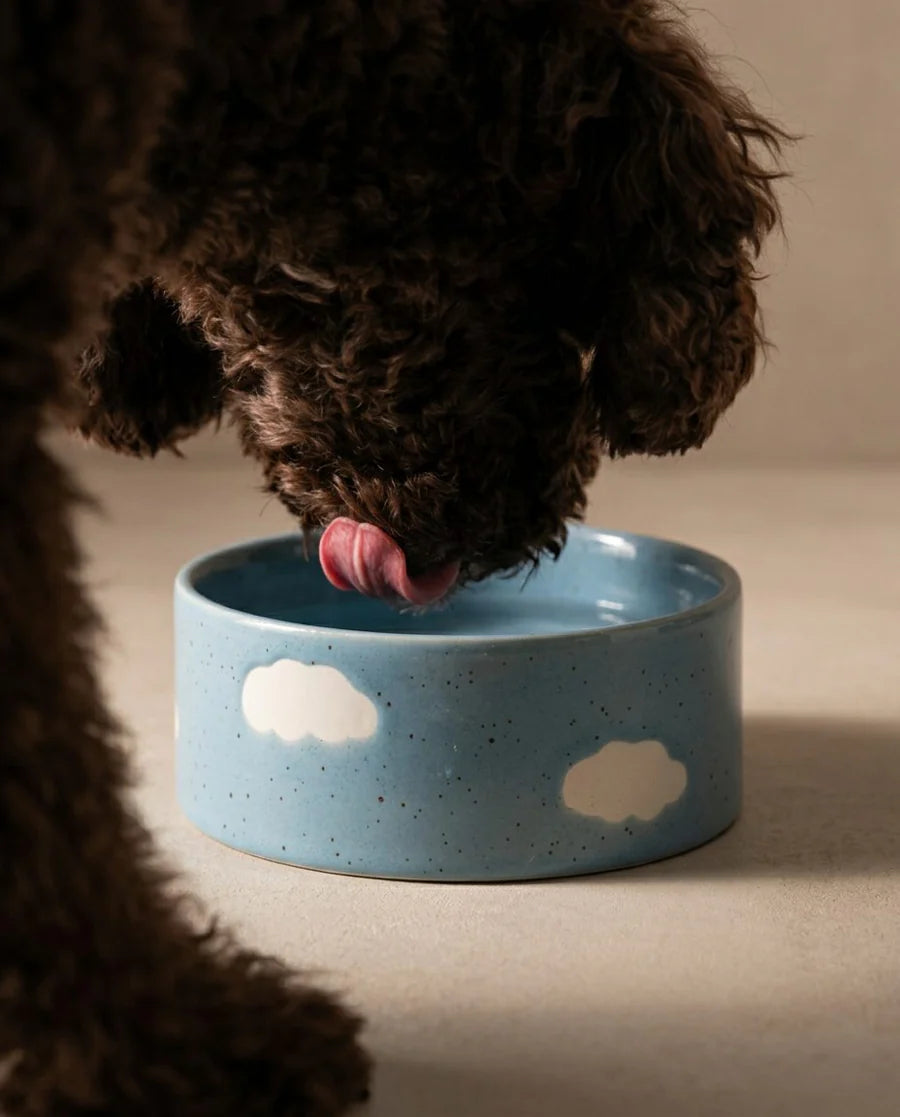 Egg Back Home - Cloud Pet Bowl
