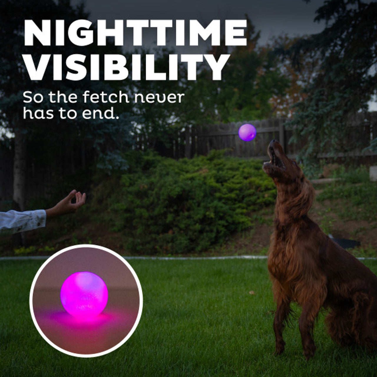 Planet Dog Strobe Ball - Glow Purple