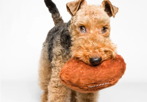 Fluff & Tuff - Football - Medium