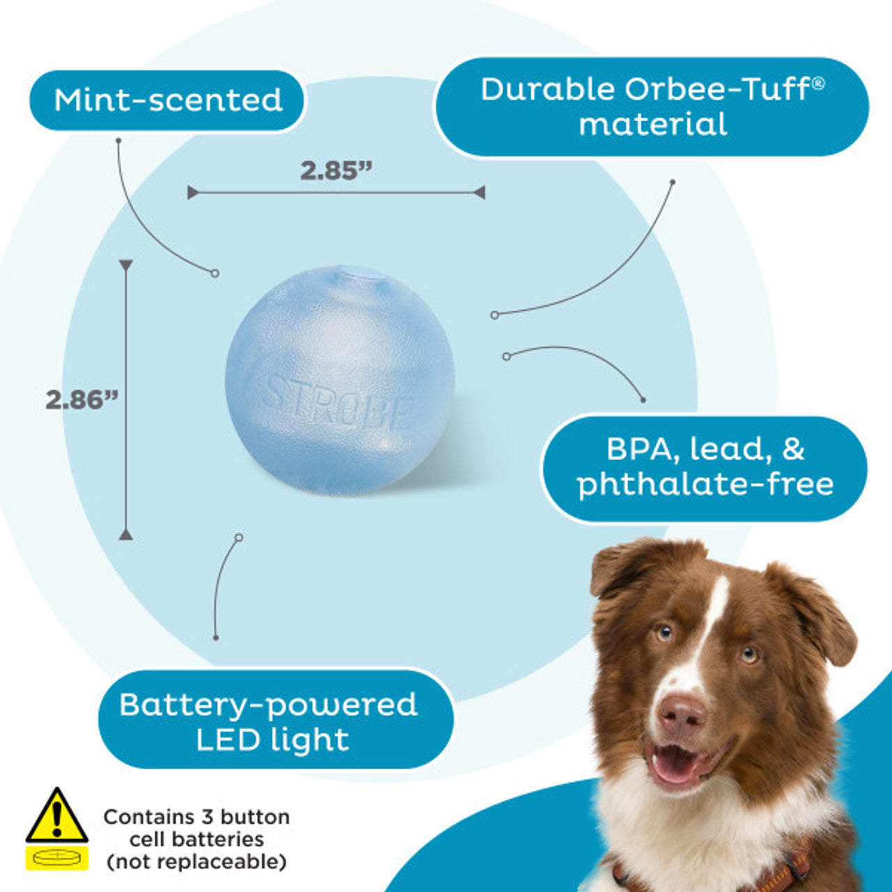 Planet Dog Strobe Ball - Glow Blue