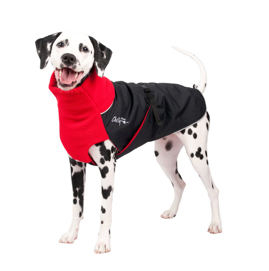Chilly Dogs - Great White North Winter Jacket - Red/Black Shell