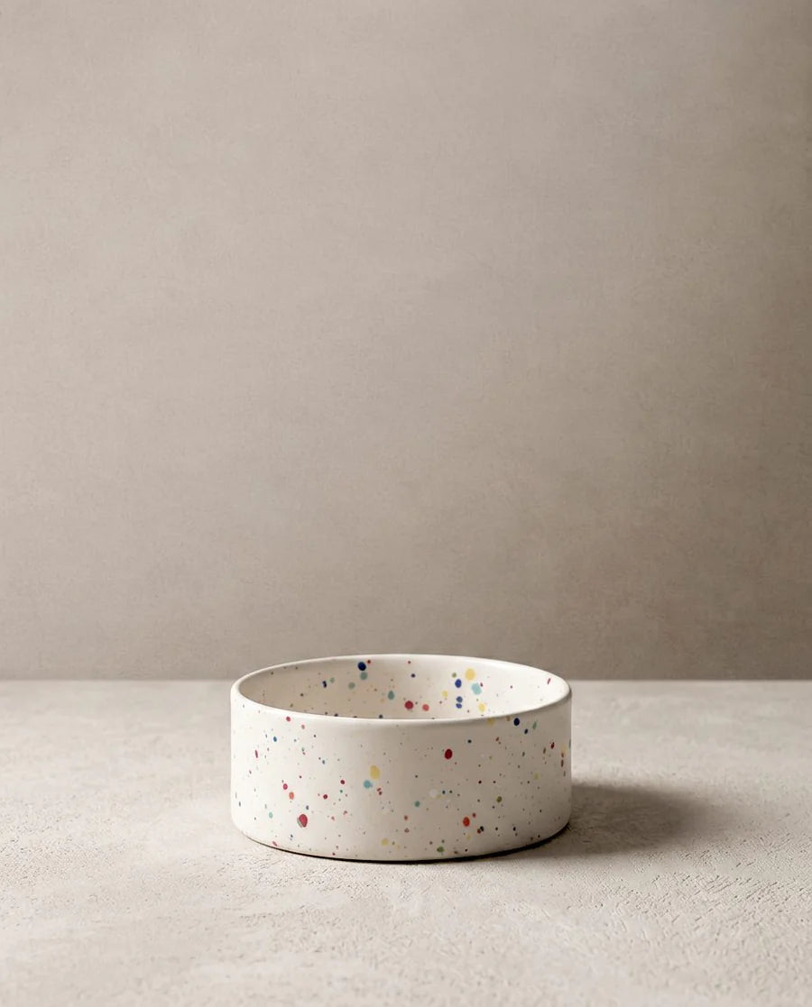 Egg Back Home - New Party Pet Bowl White