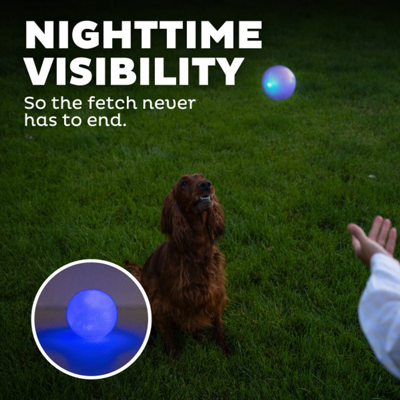 Planet Dog Strobe Ball - Glow Blue