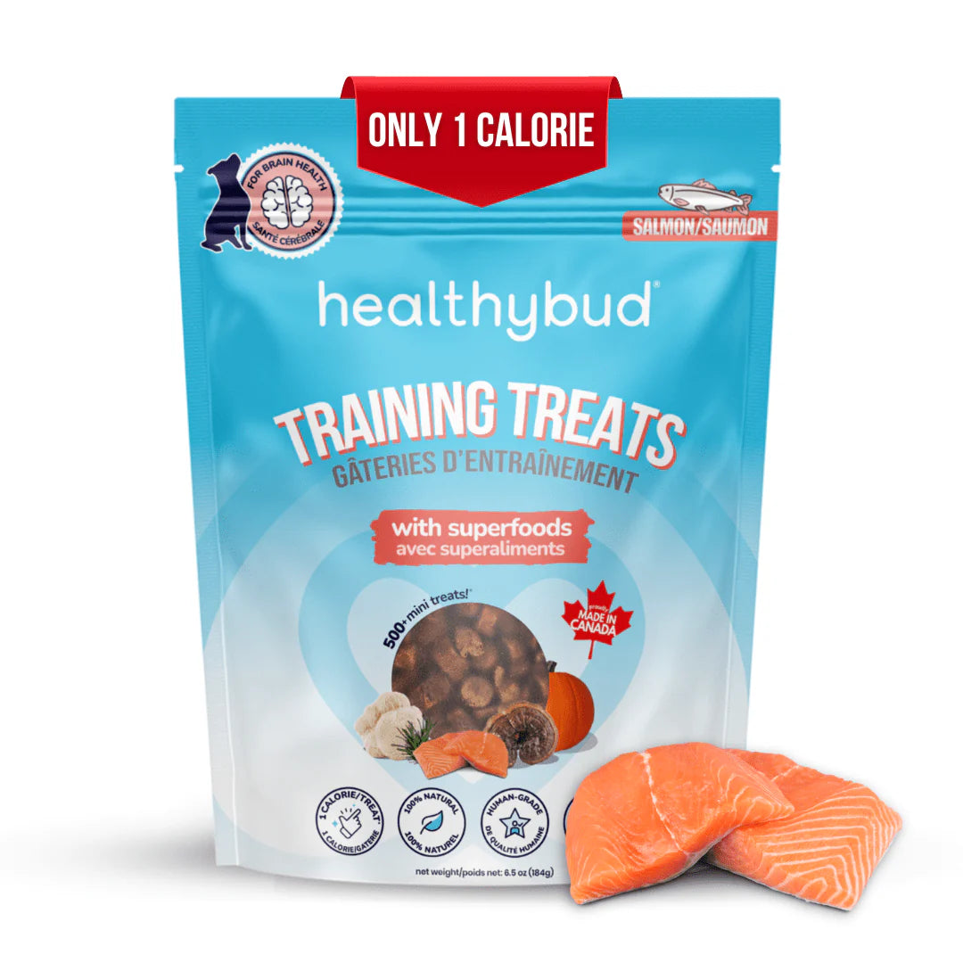 Mini Training Treats - Salmon