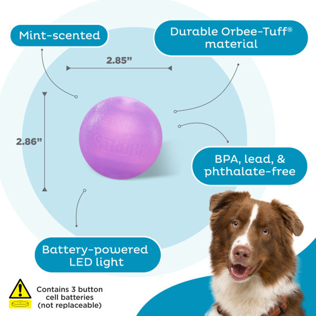Planet Dog Strobe Ball - Glow Purple