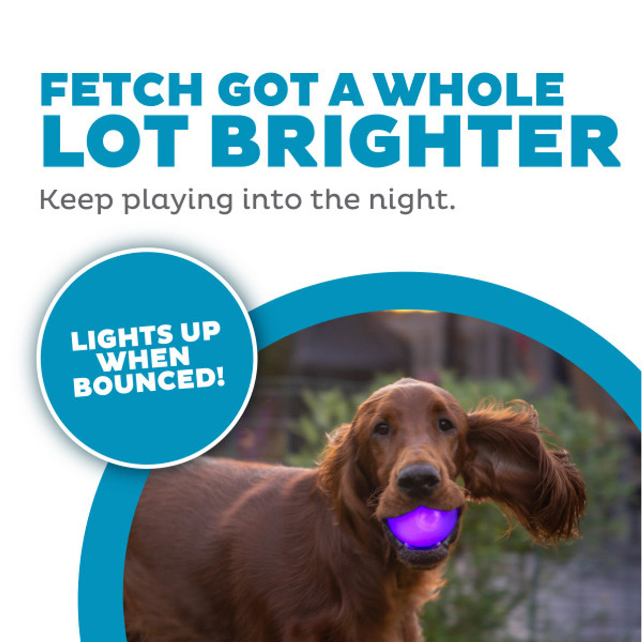 Planet Dog Strobe Ball - Glow Purple