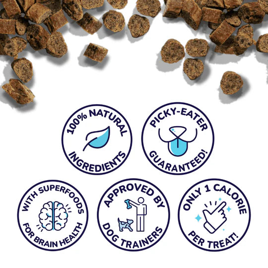Mini Training Treats - Salmon