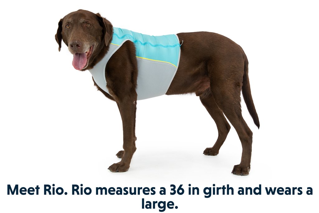 Jet Stream™ Dog Cooling Vest