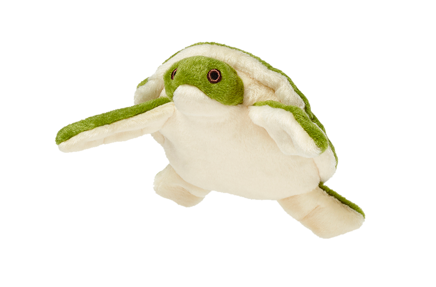 Esmeralda Turtle