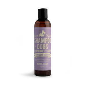 Black Sheep Organics Lavender & Geranium Shampoo - 8oz