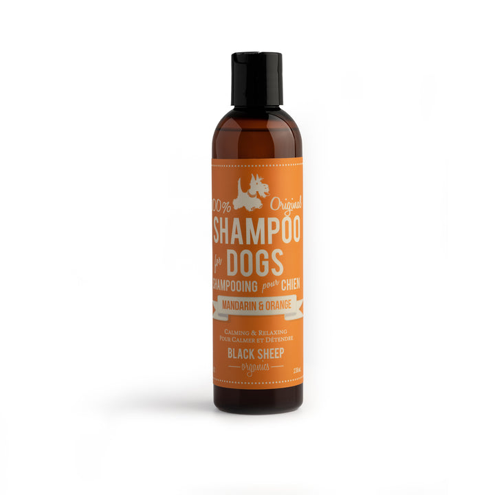 Black Sheep Organics Mandarin & Orange Shampoo - 8oz
