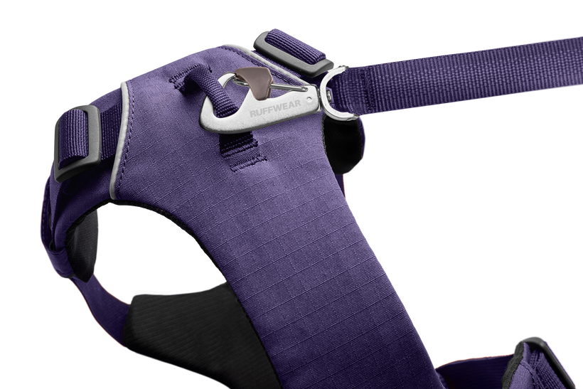 Front Range Harness - Purple Sage