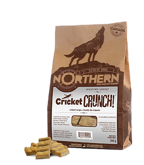 Cricket Crunch