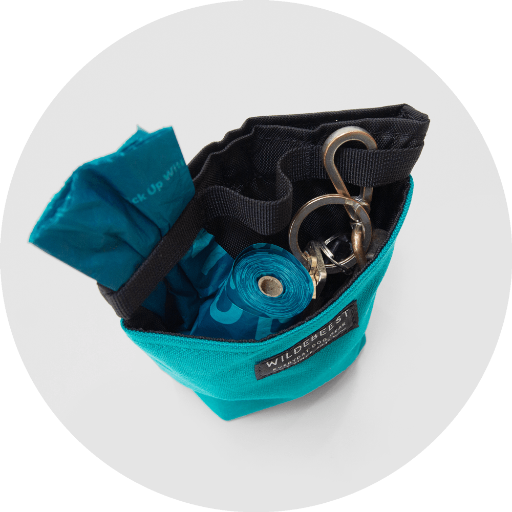 Wildebeest Alamo Dog Treat Pouch Turquoise