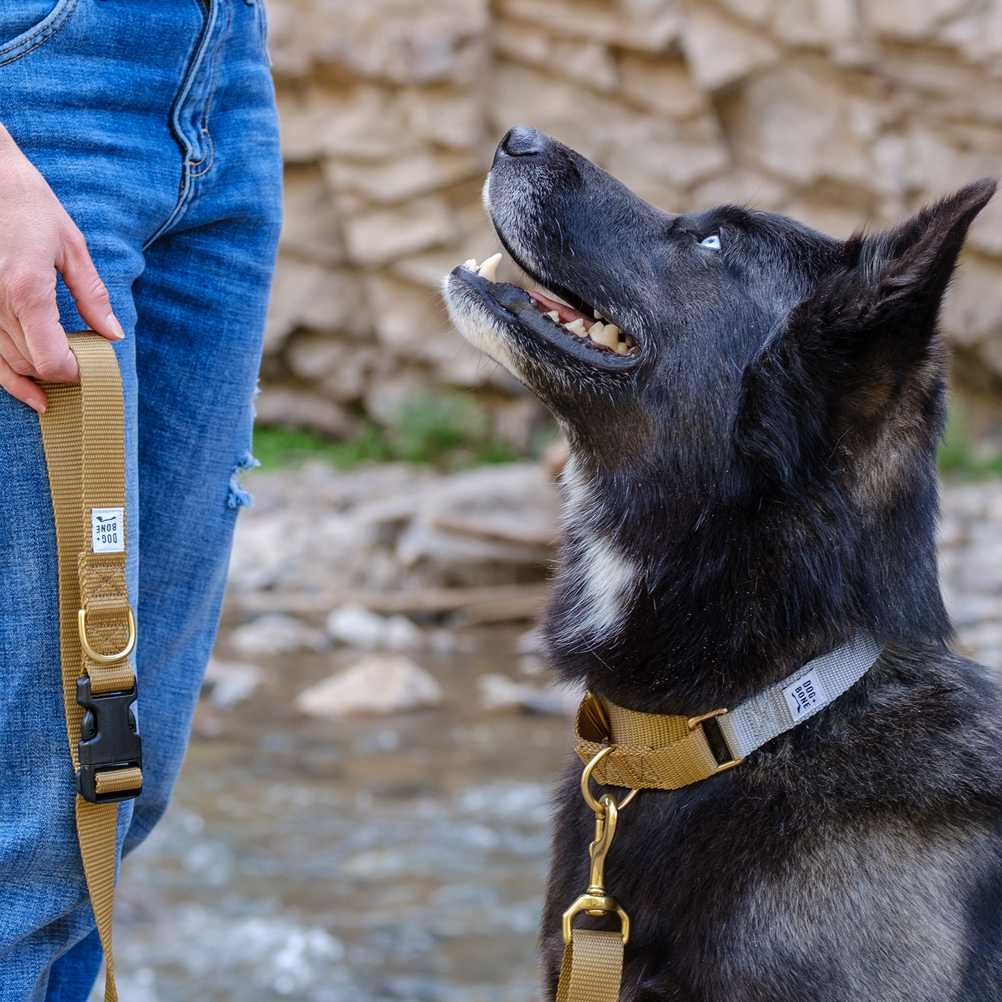 Dog + Bone Adjustable Leash - Gold