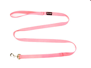 Standard Nylon Dog Leash - Baby Pink