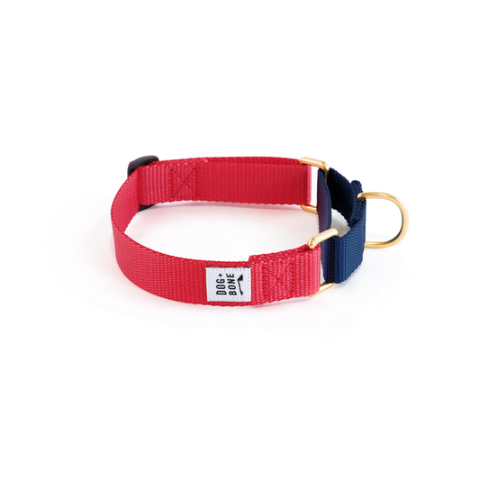 Martingale Collar -  Punch + Navy