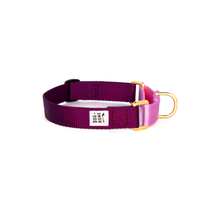 Load image into Gallery viewer, Martingale Collar - Purple + Orchid
