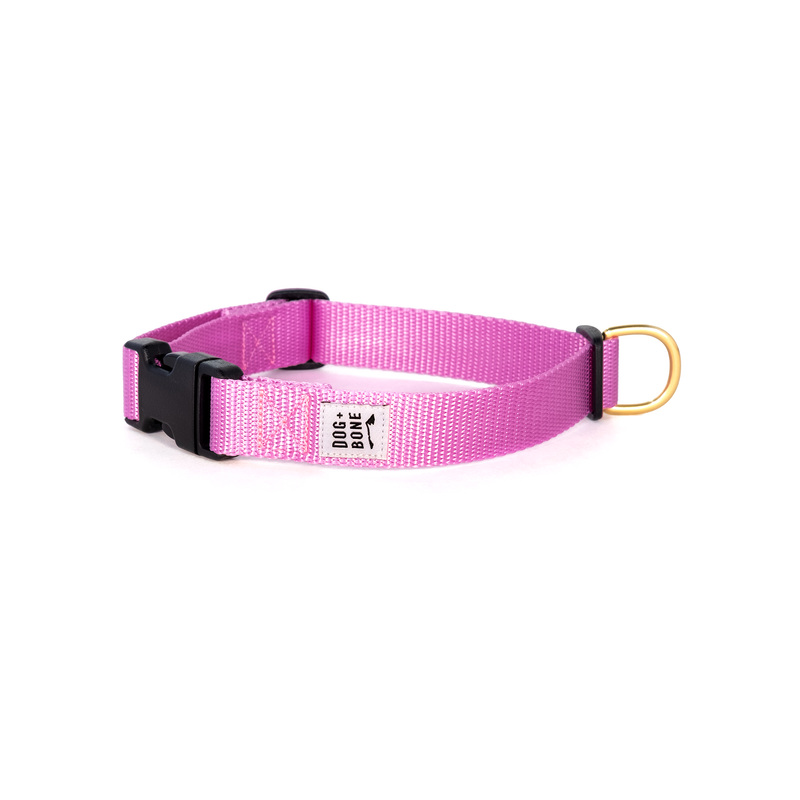 Snap Collar - Orchid