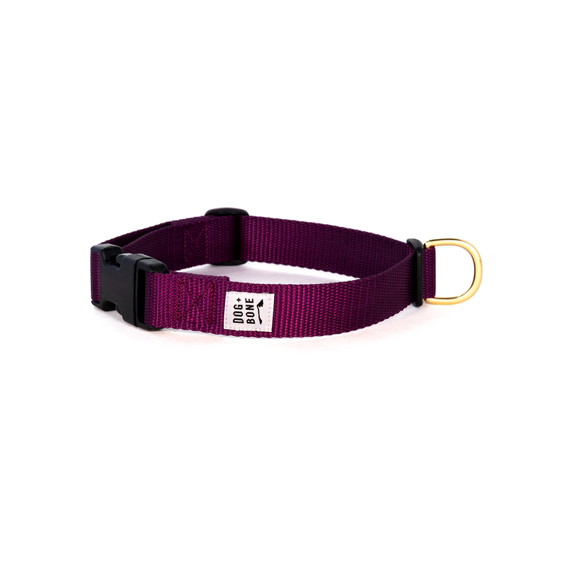 Snap Collar - Purple