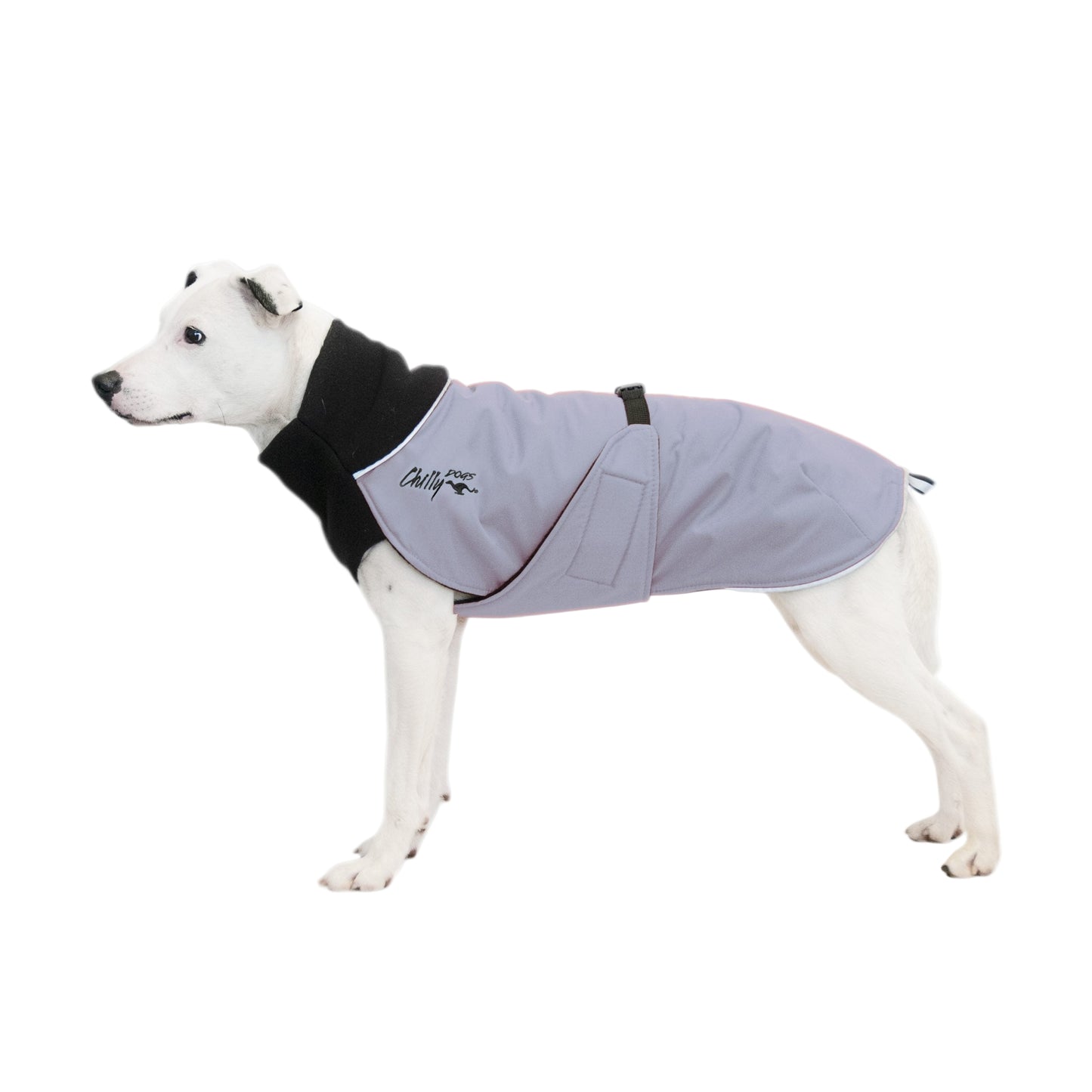 Chilly Dogs - Great White North Winter Jacket - Black/Grey Shell