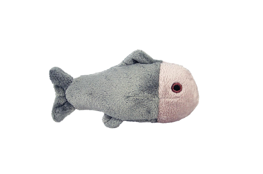 Guppy Fish - Squeakerless