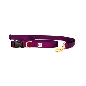 Dog + Bone Adjustable Leash - Purple