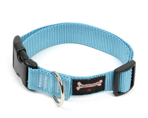 Nylon Clip Collar - Turquoise