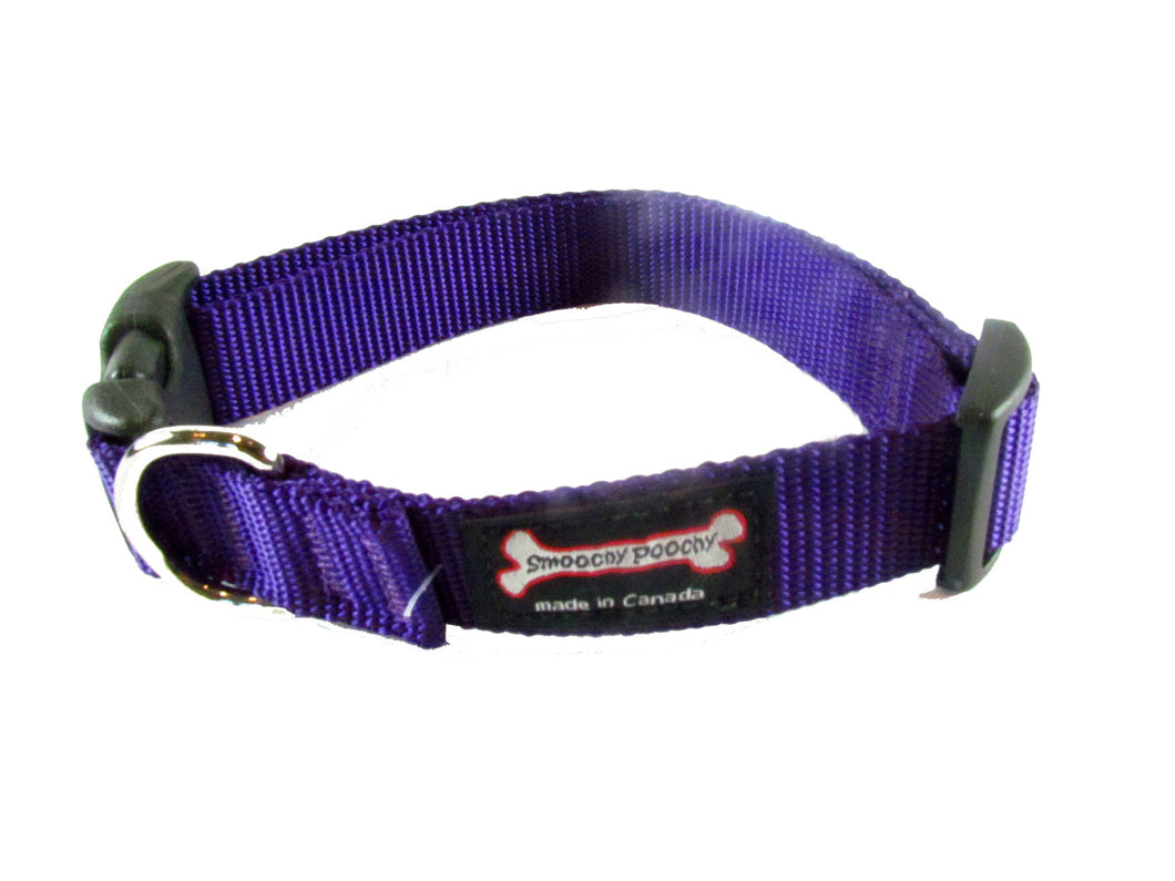 Nylon Clip Collar - Purple