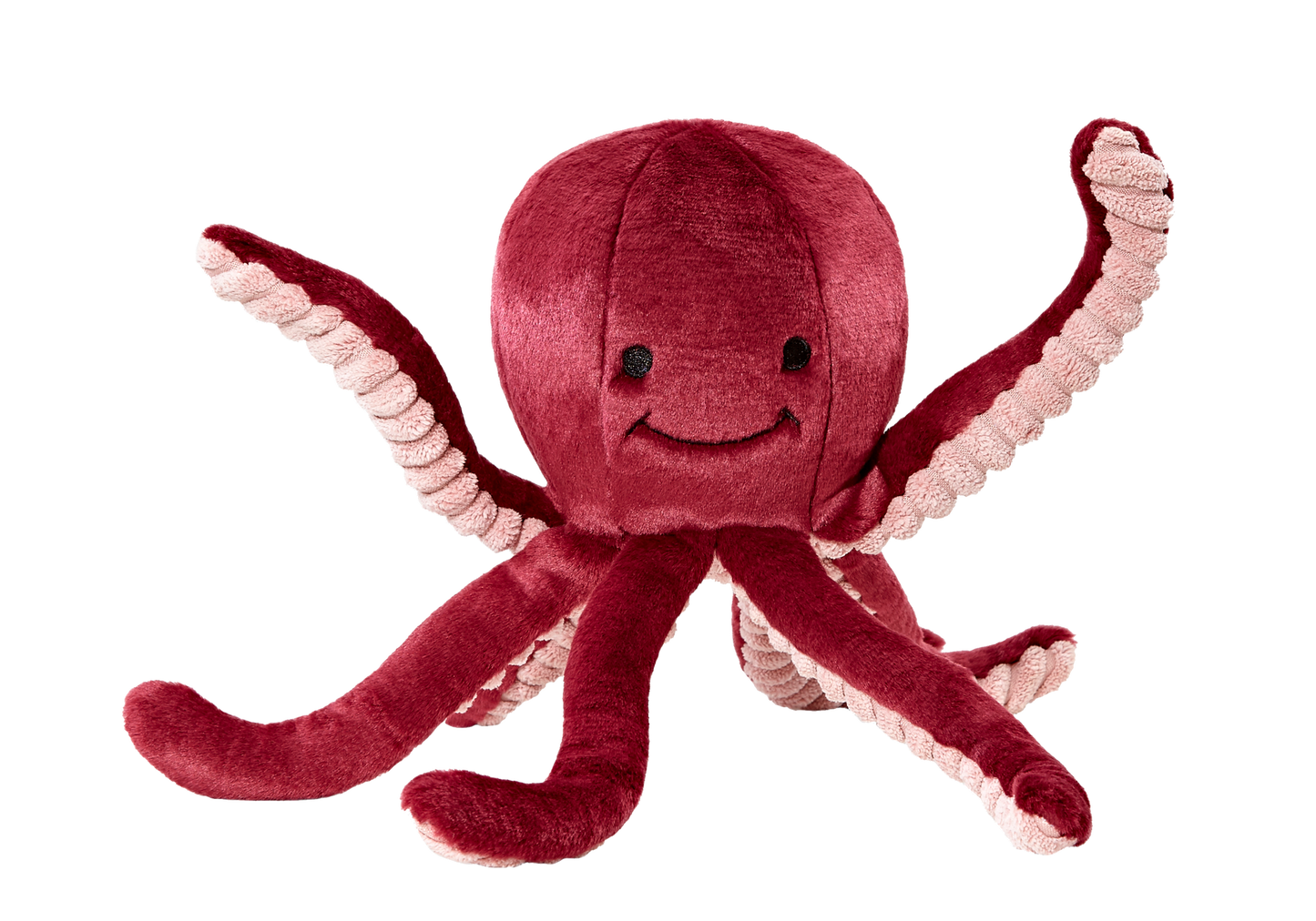 Olympia Octopus