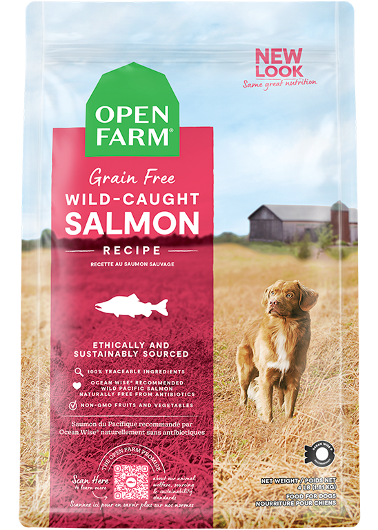 Open Farm Grain-Free: Wild-Caught Salmon Recipe