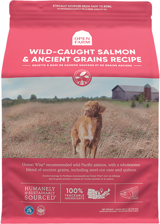 Open Farm Ancient Grains: Wild-Caught Salmon Recipe