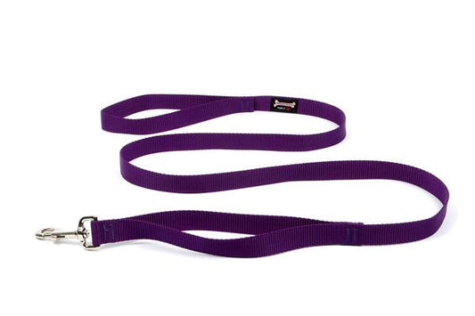Standard Nylon Dog Leash - Purple