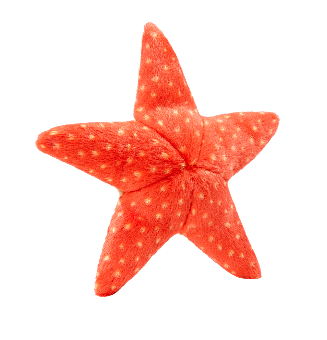 Ziggy Starfish