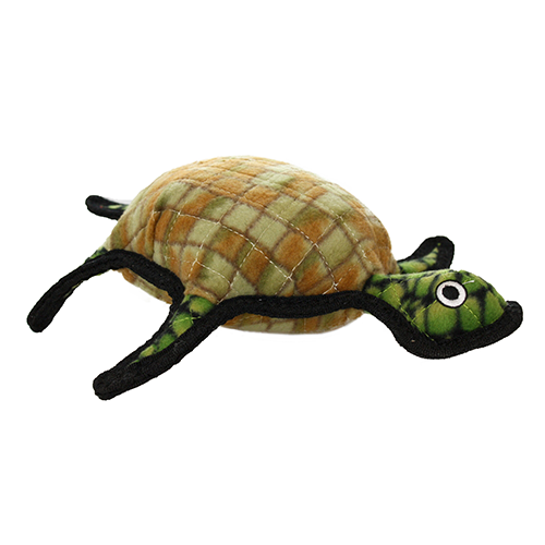 Burtle the Turtle