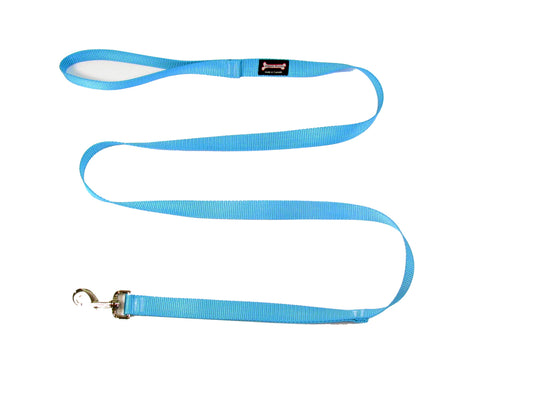 Standard Nylon Dog Leash - Turquoise