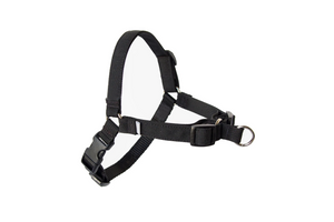 Front Clip Harness
